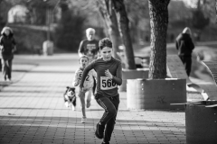IMG_6591